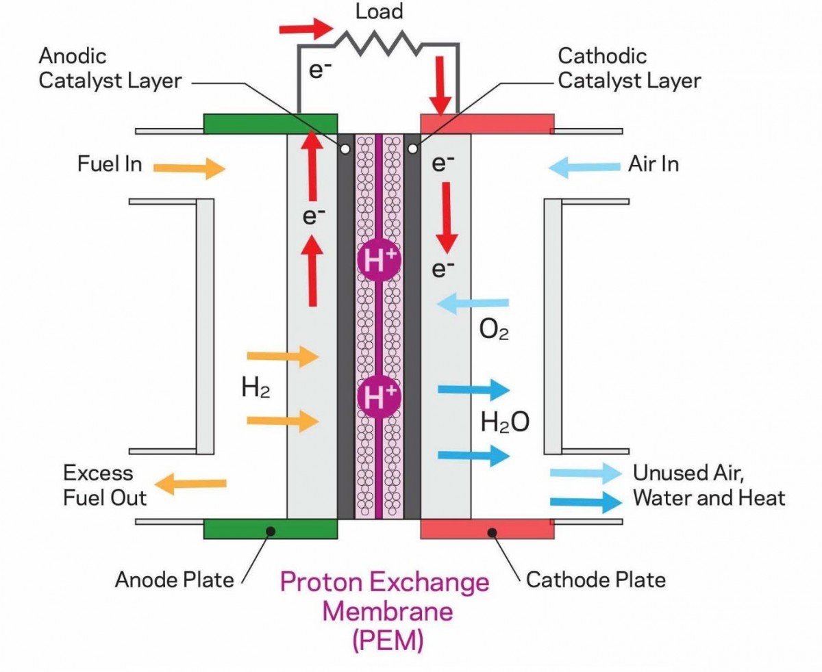 Hydrogen Fuel Cell | atelier-yuwa.ciao.jp