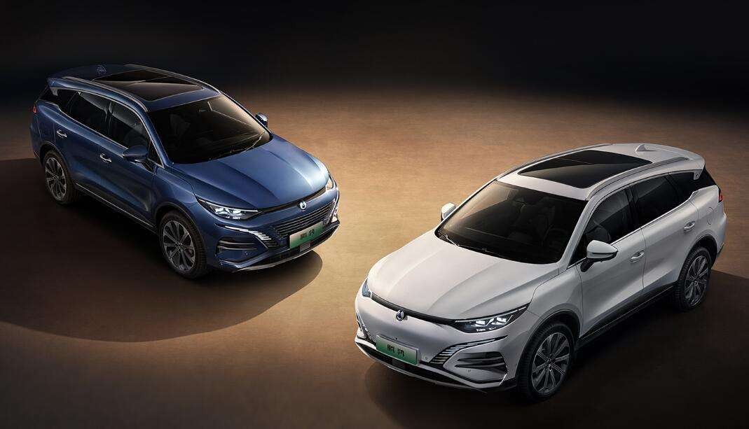 BYD teases the Denza N8 SUV with official images