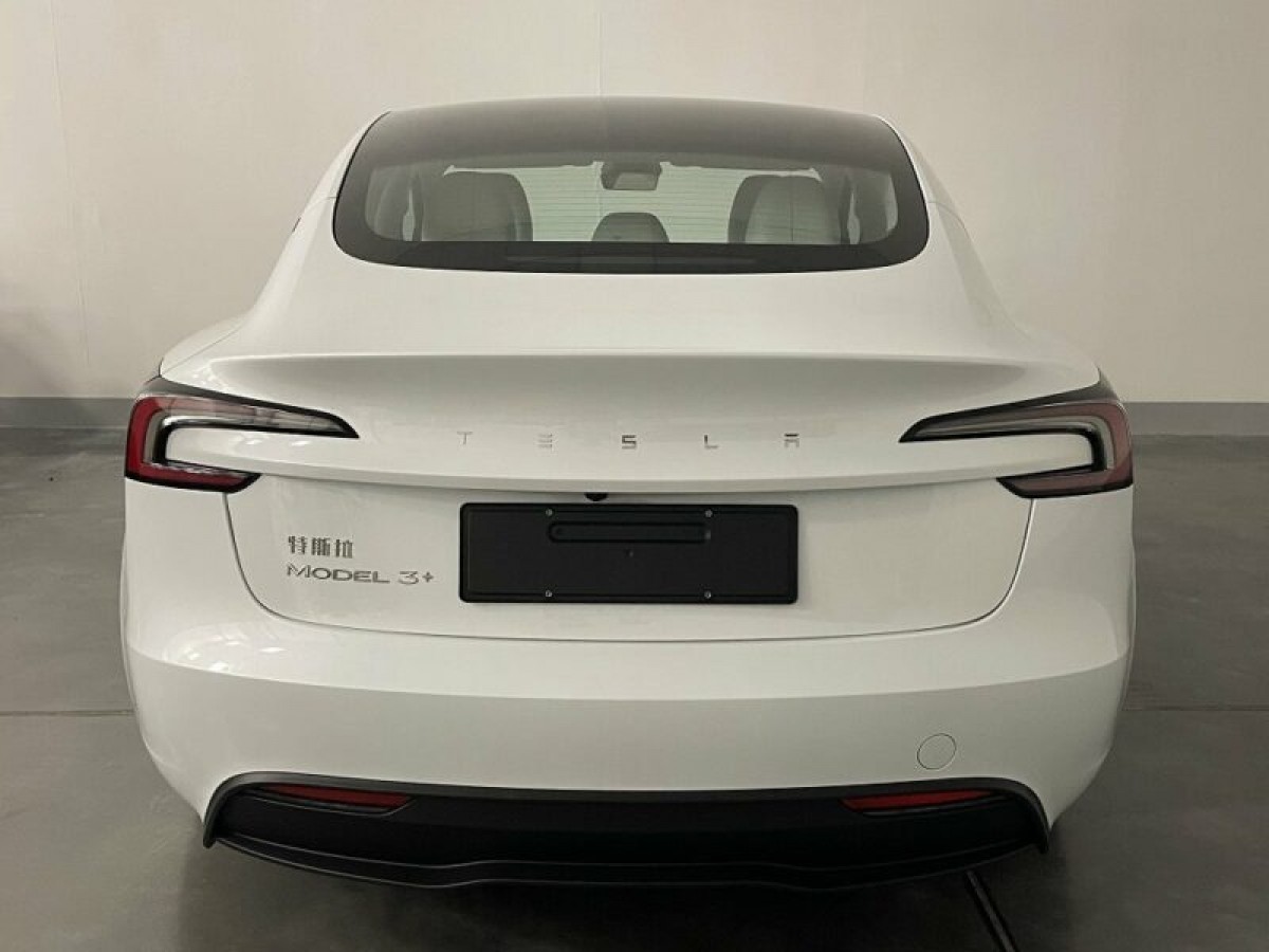 The Chinese Model 3+