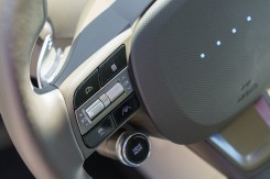 The steering wheel has many buttons.