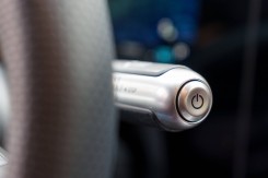 The stalks offer premium quality.