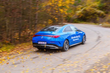 Blue contrasts well with the autumn leaves.