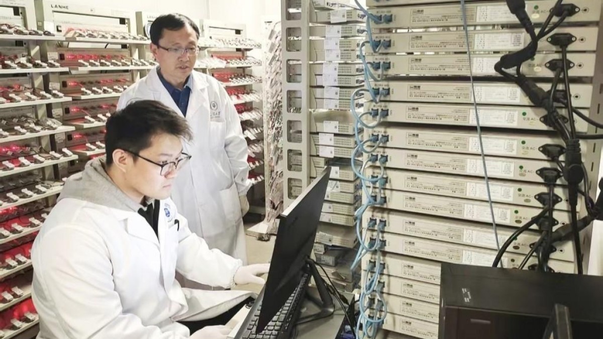 Chinese scientists build better electric car batteries from plastic