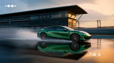 BYD Fang Cheng Bao Formula S