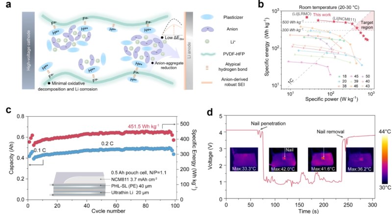 Polymer-modulated anion aggregate solvation structure and solid-state battery performance