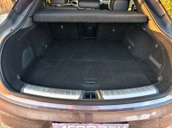 Main trunk and under it