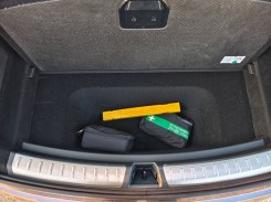 Main trunk and under it