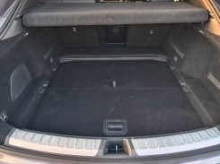 Main trunk and under it