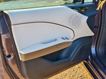 Door panel accents