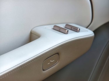 Door panel accents